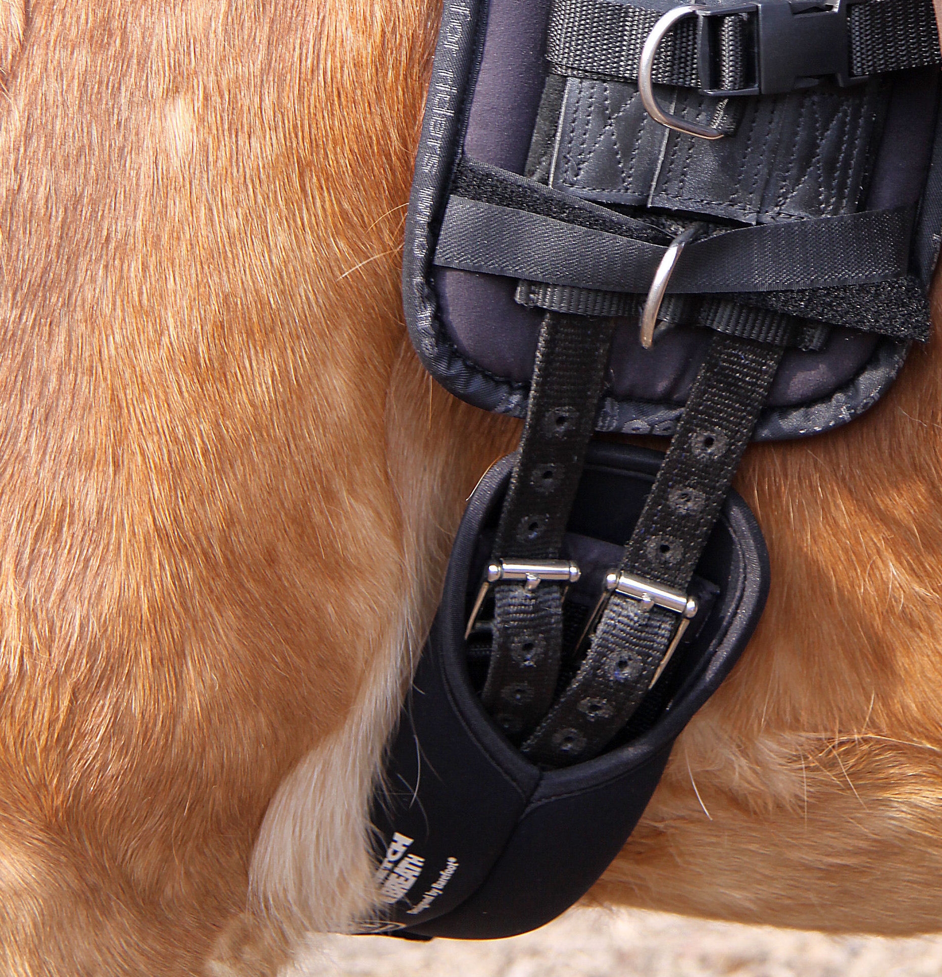 Picture for category Saddle Accessories
